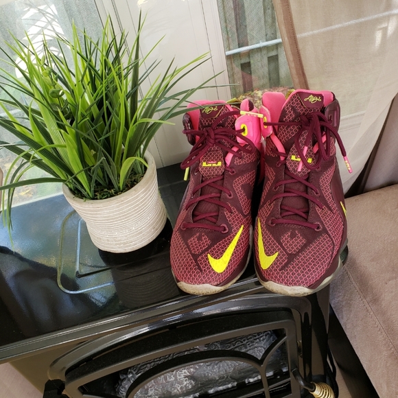 Nike Lebron XII 12 Double Helix (Box Not Included) - Picture 2 of 4